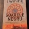 Soarele negru James Twining