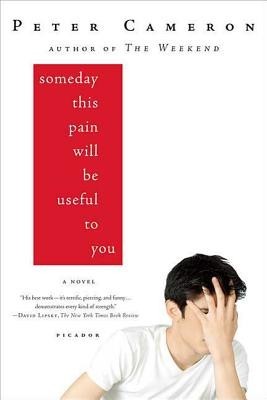 Someday This Pain Will Be Useful to You foto