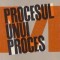 Procesul unui proces