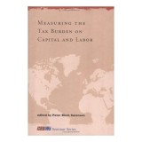 Cumpara ieftin Measuring the Tax Burden on Capital and Labor (CESifo Seminar Series)