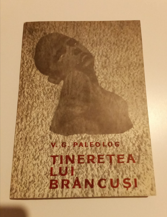 TINEREȚEA LUI BR&Acirc;NCUȘI - V. G. PALEOLOGU