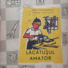 LACATUSUL AMATOR-PAUL TEODORESCU, VIOREL RADUCU