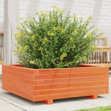 vidaXL Jardinieră grădină, maro ceruit, 70x70x26,5 cm, lemn masiv pin