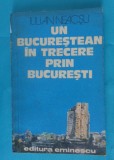 Iulian Neacsu &ndash; Un bucurestean in trecere prin Bucuresti