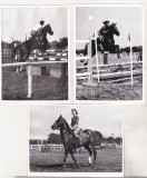 Bnk foto - 3 poze concurs hipic - posibil Hipodrom Ploiesti, Alb-Negru, Romania de la 1950, Sport