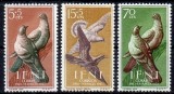 Set timbre Ifni 1957 &ndash; Pro Infancia, Porumbei, 3 valori, MNH -A50