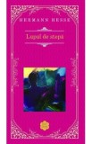 Lupul de stepa (Rao Clasic) - Hermann Hesse