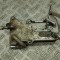 Răcitor de ulei AUDI Q7 4M 2018 OEM: 4M0317021G,EB964006 | 30276506