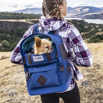 Kurgo Nomad Carrier Rucsac pentru c&amp;acirc;ine - albastru foto