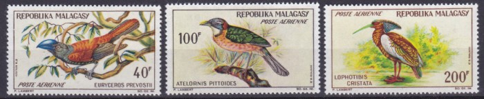 DB1 Fauna Pasari Madagascar 1963 Malgasa PA 3 v. MH Urme sarniera