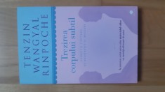 Tenzin Wangyal Rinpoche - Trezirea corpului subtil ( 2015 )