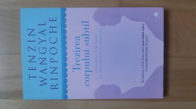 Tenzin Wangyal Rinpoche - Trezirea corpului subtil ( 2015 ) foto