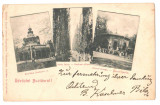SV * BAILE BUZIAS * PAVILIONUL RESTAURANT * IZVORUL FRANZ JOSEPH * 1899, Circulata, Fotografie, Printata