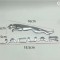 Emblema JAGUAR