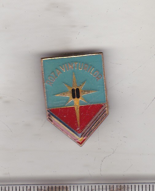 bnk ins Insigna Pionier Roza vanturilor cls II
