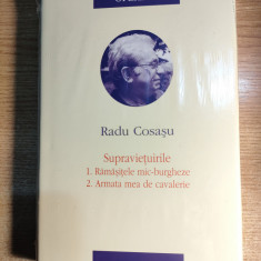 Radu Cosasu -Opere IV. Supravietuirile 1. Ramasitele mic-burgheze; 2. Armata mea