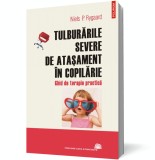 Tulburările severe de ataşament &icirc;n copilărie. Ghid de terapie practică