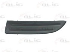 Grila ventilatie, bara protectie TOYOTA COROLLA Combi (E12J, E12T) (2001 - 2007) BLIC 6502-07-8116911P