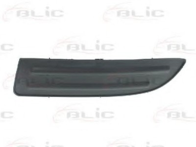 Grila ventilatie, bara protectie TOYOTA COROLLA Combi (E12J, E12T) (2001 - 2007) BLIC 6502-07-8116911P foto