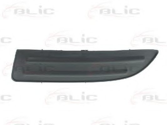 Grila ventilatie, bara protectie TOYOTA COROLLA Combi (E12J, E12T) (2001 - 2007) BLIC 6502-07-8116911P
