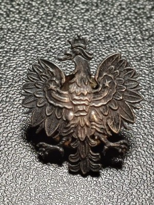 NI128 Insignă militară Polonia foto