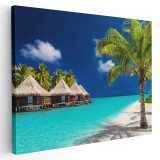 Tablou peisaj plaja Maldive cu palmieri Tablou canvas pe panza CU RAMA 30x40 cm