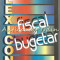 Lexicon Fiscal Si Bugetar - Corneliu Gorcea