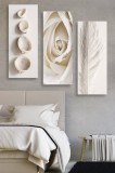 Set tablouri canvas (3 bucati) MDF0086 Multicolor 70x50 cm