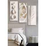 Set tablouri canvas (3 bucati) MDF0086 Multicolor 70x50 cm