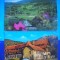 HOPCT LOT 2546 - BAIA BORSA-JUD MARAMURES-2 CARTI POSTALE-CIRCULATE