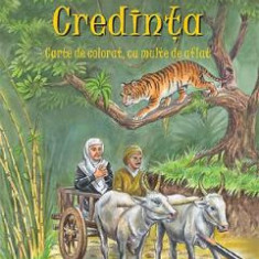 Roadele Duhului Sfant Vol.4: Credinta - Amalia Dragne