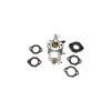 Carburator compatibil cu BRIGGS &amp;amp; STRATTON 715671, ABO-715671, Oem