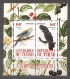 Chad 2010 Birds, Parrots, perf. sheet, MNH S.089