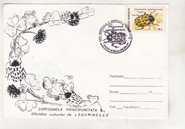 bnk fil Plic ocazional Luna padurii 1997 Sibiu