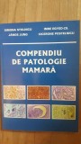 Compendiu de patologie mamara- Simona Stolnicu, Janos Jung