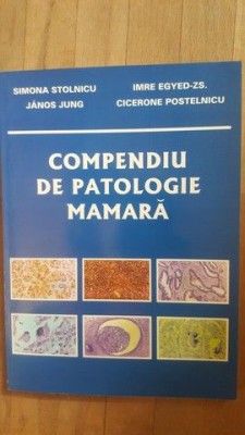 Compendiu de patologie mamara- Simona Stolnicu, Janos Jung foto