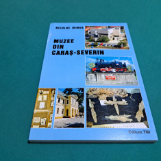 MUZEE DIN CARAȘ-SEVERIN / NICOLAE IRIMIA / 2011*