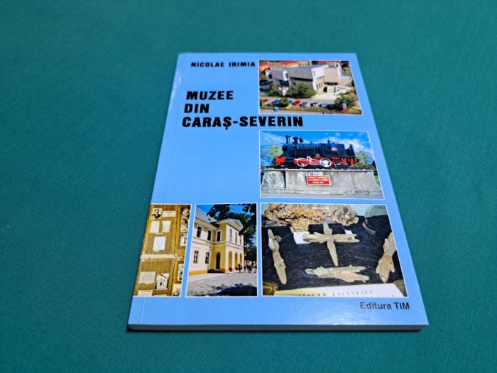 MUZEE DIN CARAȘ-SEVERIN / NICOLAE IRIMIA / 2011* 56