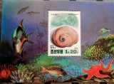 Coreea 1994 melci fauna marina bloc nestampilata, Korea 1994