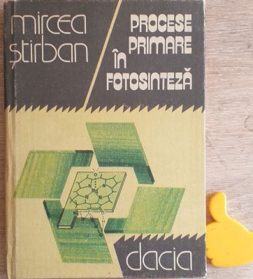 Procese primare in fotosinteza Mircea Stirban foto