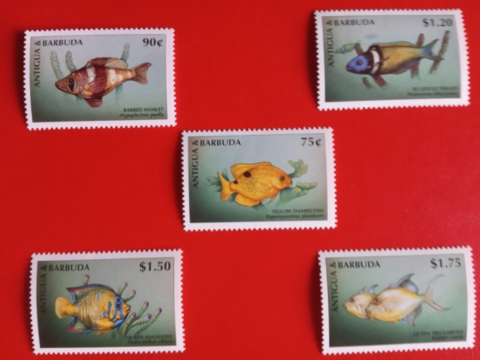 ANTIGUA, PEȘTI - SERIE MNH