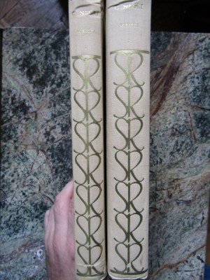 C. Negri - Scrieri (2 volume) - ed. critica foto