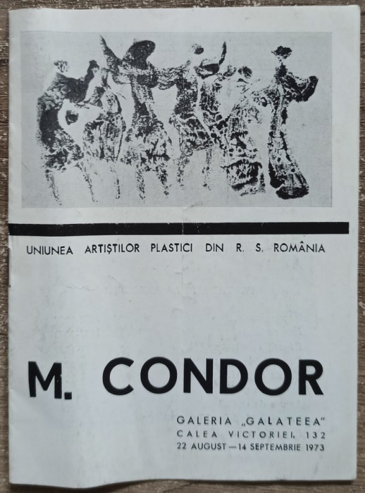 Expozitie M. Condor 1973