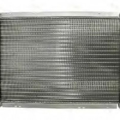 Radiator, racire motor BMW Seria 3 (E46) (1998 - 2005) THERMOTEC D7B021TT