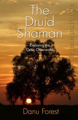 The Druid Shaman: Exploring the Celtic Otherworld foto