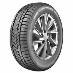 195/55 R15 SUNNY NW211 foto