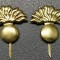 Rom&acirc;nia Semne de arma Infanterie noi aurii