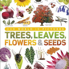 Trees, Leaves, Flowers and Seeds