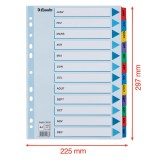 Index carton Esselte Mylar cu taste laminate A4 index Ianuarie-Decembrie