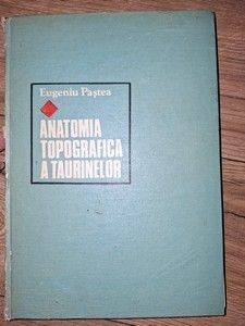 Anatomia topografica a taurinelor- Eugeniu Pastea foto